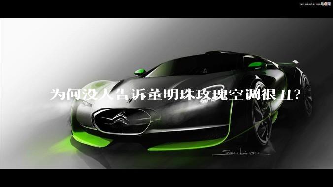 为何没人告诉董明珠玫瑰空调很丑？